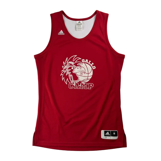 Tricou baschet Adidas x Gallo Camp *RAR*